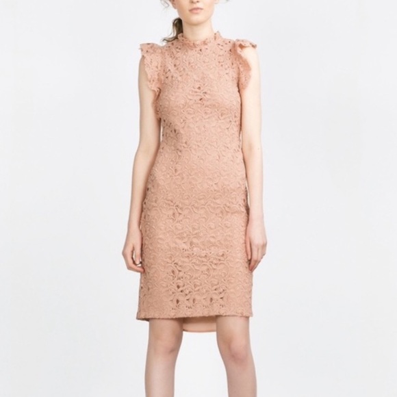 Zara Dresses Zara Blush Pink Guipure Lace Ruffled Midi Dress Poshmark